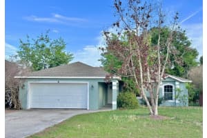 8 Flatfish Dr, KISSIMMEE