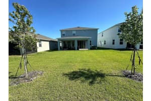 2968 WILD MULBERRY DRIVE, CLERMONT, FL 34711 - MLS#MFRO6402009