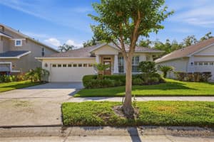 19409 MELODY FAIR PLACE, LUTZ, FL 33558 - MLS#MFRO6402043