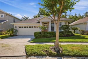 19409 MELODY FAIR PLACE, LUTZ, FL 33558 - MLS#MFRO6402043
