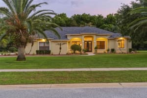 744 BARROWS DAIRY ROAD, PORT ORANGE, FL 32127 - MLS#MFRO6402059