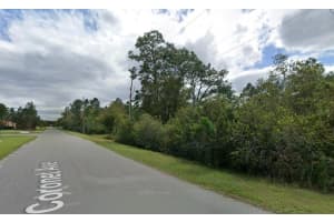 CORONET AVE, ORLANDO, FL 32833 - MLS#MFRO6402064