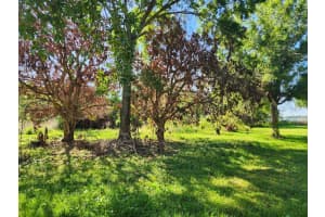 3898 & 3910 WASHINGTON STREET, ORLANDO, FL 32805 - MLS#MFRO6402103