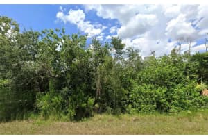 14276 MYAKKA AVENUE, PORT CHARLOTTE, FL 33953 - MLS#MFRO6402152