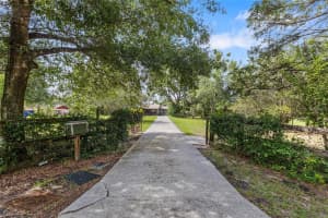 17877 PHIL C PETERS RD, WINTER GARDEN, FL 34787 - MLS#MFRO6402176
