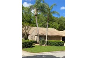 3134 WINDMOOR DRIVE, PALM HARBOR, FL 34685 - MLS#MFRO6402214
