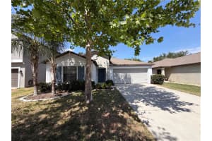 12707 LEMON PEPPER DRIVE, RIVERVIEW, FL 33578 - MLS#MFRO6402263
