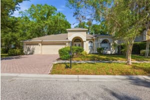 4745 PATAGONIA PLACE, LAND O LAKES, FL 34638 - MLS#MFRO6402573