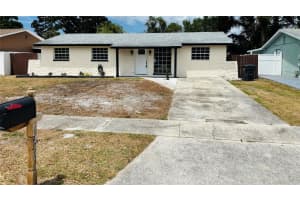 6456 WILLOW WOOD LANE, TAMPA, FL 33634 - MLS#MFRO6402665