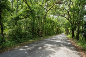 651 S COUNTY ROAD 13, ORLANDO, FL 32833 - MLS#MFRO6402706
