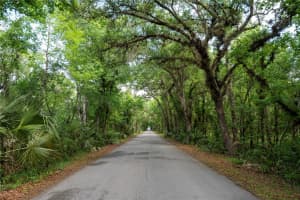 651 S COUNTY ROAD 13, ORLANDO, FL 32833 - MLS#MFRO6402706