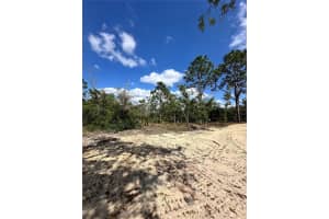 3239 KIRKWOOD PLACE, DUNNELLON, FL 34433 - MLS#MFRO6402887
