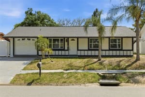 1065 Foxwood Dr, LUTZ