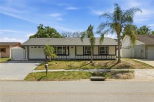 1065 FOXWOOD DRIVE, LUTZ, FL 33549 - MLS#MFRO6402914