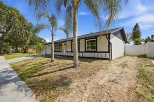 1065 FOXWOOD DRIVE, LUTZ, FL 33549 - MLS#MFRO6402914