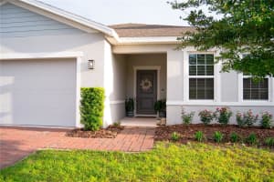 255 AUGUST FERN LOOP, MOUNT DORA, FL 32757 - MLS#MFRO6402952
