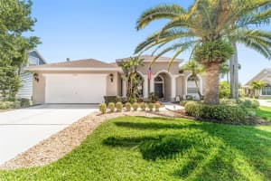 1819 LATELIA COURT, TRINITY, FL 34655 - MLS#MFRO6403113