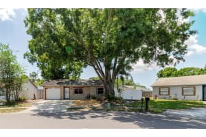 2009 Peppertree Ct, OLDSMAR