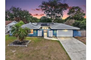 3217 Lake Anderson Ave, ORLANDO