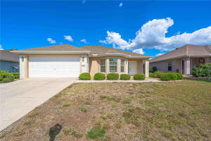 9175 118TH LOOP, SUMMERFIELD, FL 34491 - MLS#MFRO6403281