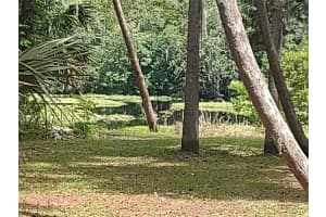 56508 BLUE CREEK ROAD, ASTOR, FL 32102 - MLS#MFRO6403437