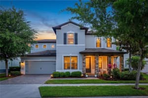 12991 PAYTON STREET, ODESSA, FL 33556 - MLS#MFRO6403508