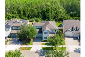 12991 PAYTON STREET, ODESSA, FL 33556 - MLS#MFRO6403508