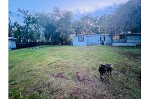 3225 PACKARD AVENUE, ST CLOUD, FL 34772 - MLS#MFRO6403521