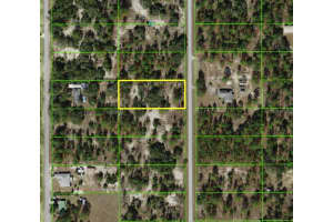 SW EVERGREEN CT, DUNNELLON, FL 34431 - MLS#MFRO6403744