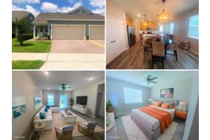 2673 Spider Lily Ct, CLERMONT