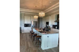 262 AMARYLLIS WAY, LAKE ALFRED, FL 33850 - MLS#MFRO6403878