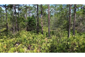 S APOPKA VINELAND RD, ORLANDO, FL 32821 - MLS#MFRO6404068