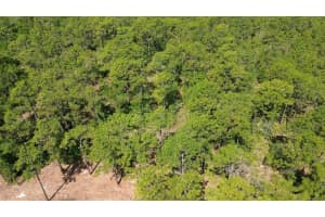 S APOPKA VINELAND RD, ORLANDO, FL 32821 - MLS#MFRO6404068