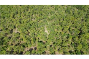 S APOPKA VINELAND RD, ORLANDO, FL 32821 - MLS#MFRO6404068