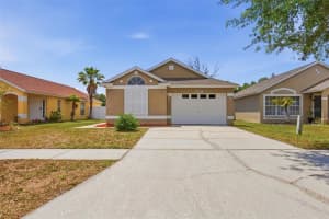 13137 Carrollwood Creek Dr, TAMPA