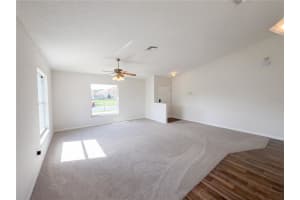 4414 REYNOLDS CREEK AVENUE, PLANT CITY, FL 33563 - MLS#MFRO6404439