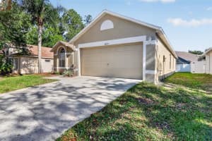 30723 BIRDHOUSE DRIVE, WESLEY CHAPEL, FL 33545 - MLS#MFRO6404447
