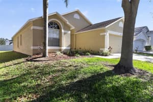 30723 BIRDHOUSE DRIVE, WESLEY CHAPEL, FL 33545 - MLS#MFRO6404447