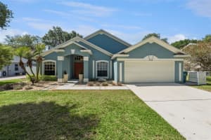 1253 Brandy Lake View Cir, WINTER GARDEN