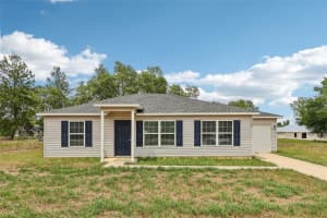 223 MALAUKA ROAD, OCKLAWAHA, FL 32179 - MLS#MFRO6404742
