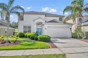 2329 NATOMA BLVD, MOUNT DORA, FL 32757 - MLS#MFRO6404893