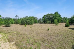 SW 149TH CT, OCALA, FL 34481 - MLS#MFRO6404903