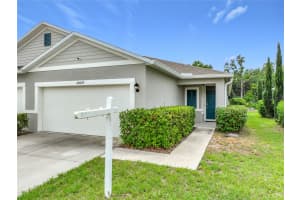 20029 ROYAL TERN COURT, LEESBURG, FL 34748 - MLS#MFRO6405173