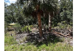 HAWKSBILL AVE, NORTH PORT, FL 34291 - MLS#MFRO6405176