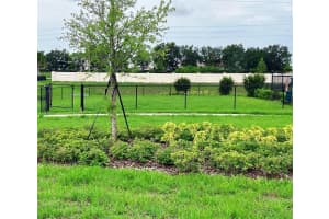 437 MARION LOOP, HAINES CITY, FL 33844 - MLS#MFRO6405200