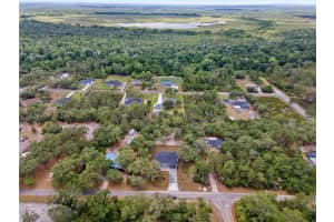 30076 APRICOT AVENUE, EUSTIS, FL 32736 - MLS#MFRO6405225