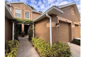 18842 DUQUESNE DRIVE, TAMPA, FL 33647 - MLS#MFRO6405308