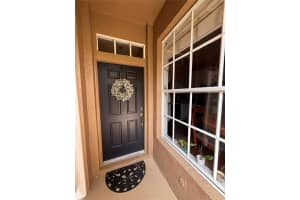 18842 DUQUESNE DRIVE, TAMPA, FL 33647 - MLS#MFRO6405308