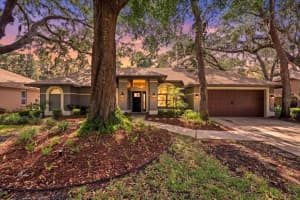 1445 Waterwood Dr, LUTZ