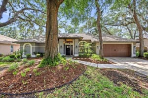 1445 WATERWOOD DRIVE, LUTZ, FL 33559 - MLS#MFRO6405469